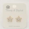 Crystal Star Post Earring