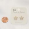 Crystal Star Post Earring