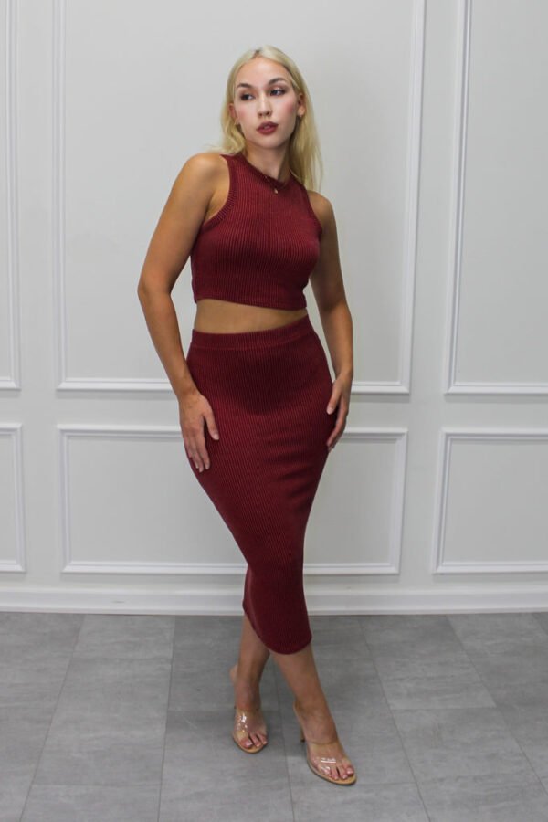 Ribbed Crop Top & Skirt Set (Burgundy)