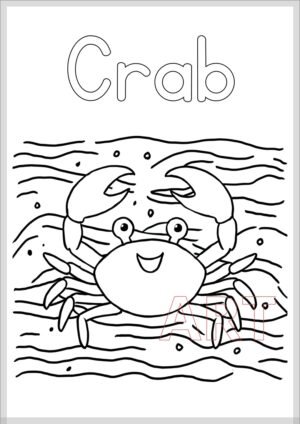 🦀 The Ultimate Beautiful Crab Coloring Page 🦀