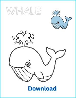 🐋 Whale Coloring Page | Printable PDF with Pre-Colored Example (US Letter 8.5x11)