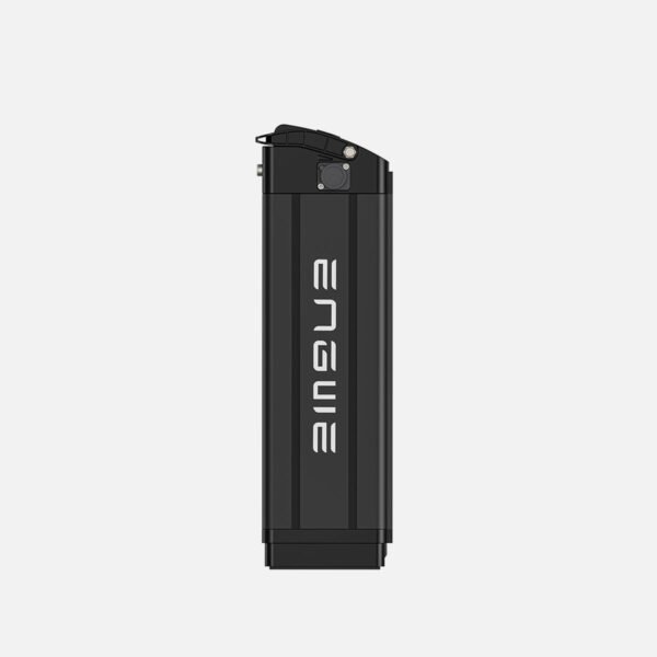 L20 Battery