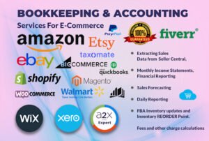 be your amazon bookkeeper,accountant,ecommerce assistant