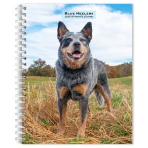 Blue Heelers 2026 Engagement Planner
