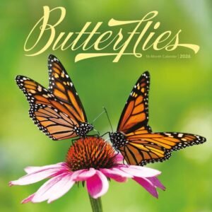 Butterflies 2026 Wall Calendar