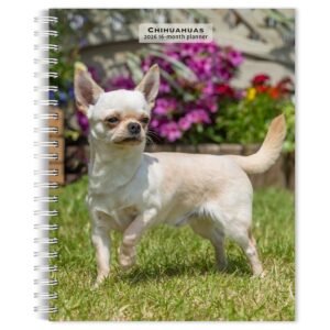 Chihuahuas 2026 Engagement Planner