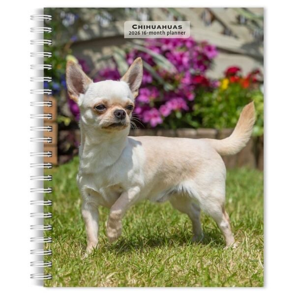 Chihuahuas 2026 Engagement Planner