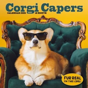 Corgi Rules 2026 Wall Calendar