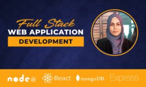 do web app development and be your full stack developer