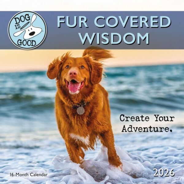 Dog is Good Fur Wisdom 2026 Wall Calendar