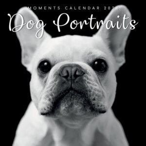 Dog Portraits 2026 Wall Calendar