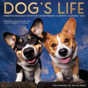 Dogs Life 2026 Wall Calendar