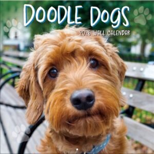 Doodle Dogs Photo 2026 Wall Calendar