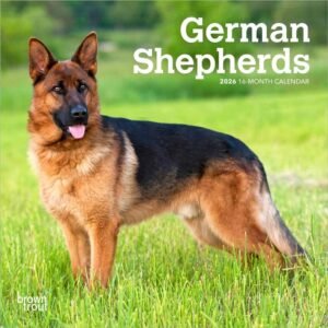 German Shepherds 2026 Mini Wall Calendar