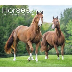 Horses 2026 Deluxe Wall Calendar