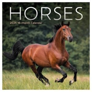Horses 2026 Mini Wall Calendar