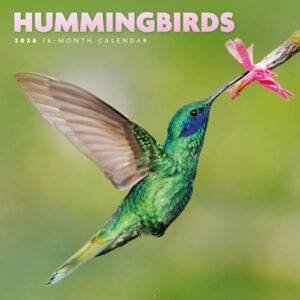 Hummingbirds 2026 Mini Wall Calendar