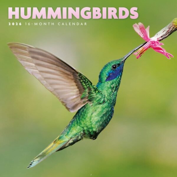 Hummingbirds 2026 Mini Wall Calendar