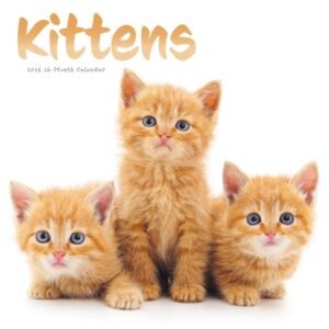 Kittens 2026 Wall Calendar