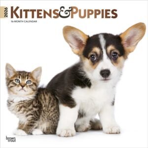 Kittens And Puppies 2026 Wall Calendar