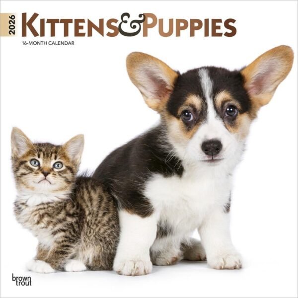 Kittens And Puppies 2026 Wall Calendar