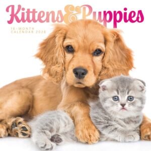 Kittens and Puppies 2026 Wall Calendar