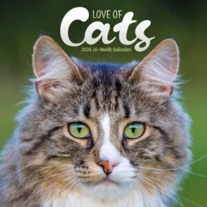 Love of Cats Plato 2026 Wall Calendar