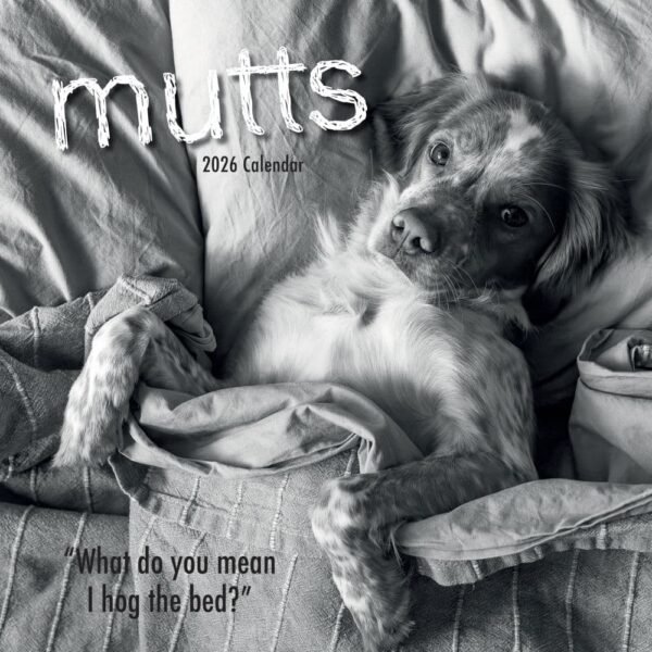 Mutts 2026 Wall Calendar