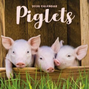 Piglets 2026 Mini Wall Calendar