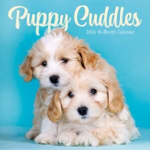 Puppy Pals Plato 2026 Wall Calendar