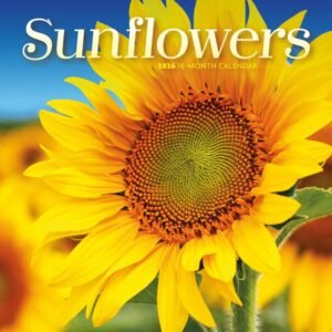 Sunflowers 2026 Mini Wall Calendar
