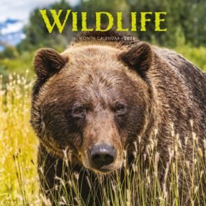 Wildlife 2026 Wall Calendar