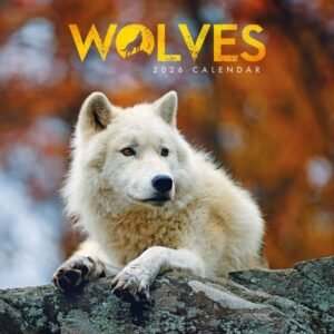 Wolves 2026 Mini Wall Calendar