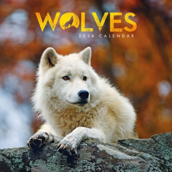 Wolves 2026 Mini Wall Calendar