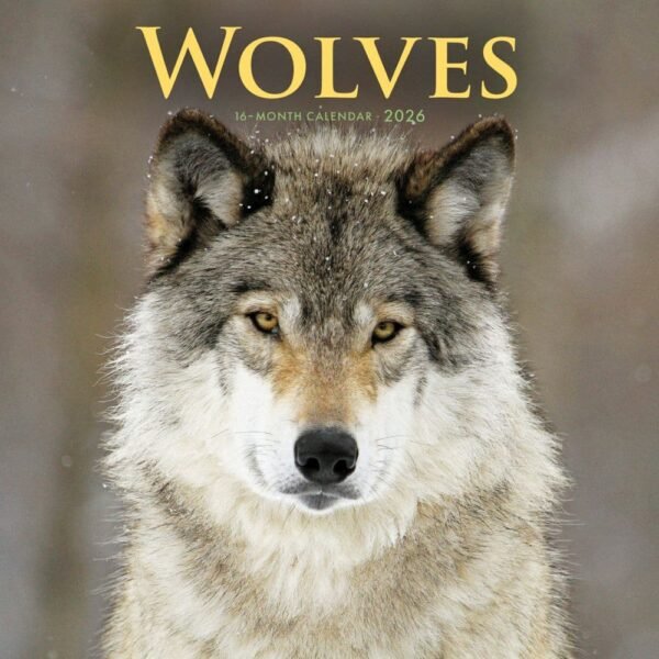 Wolves 2026 Wall Calendar